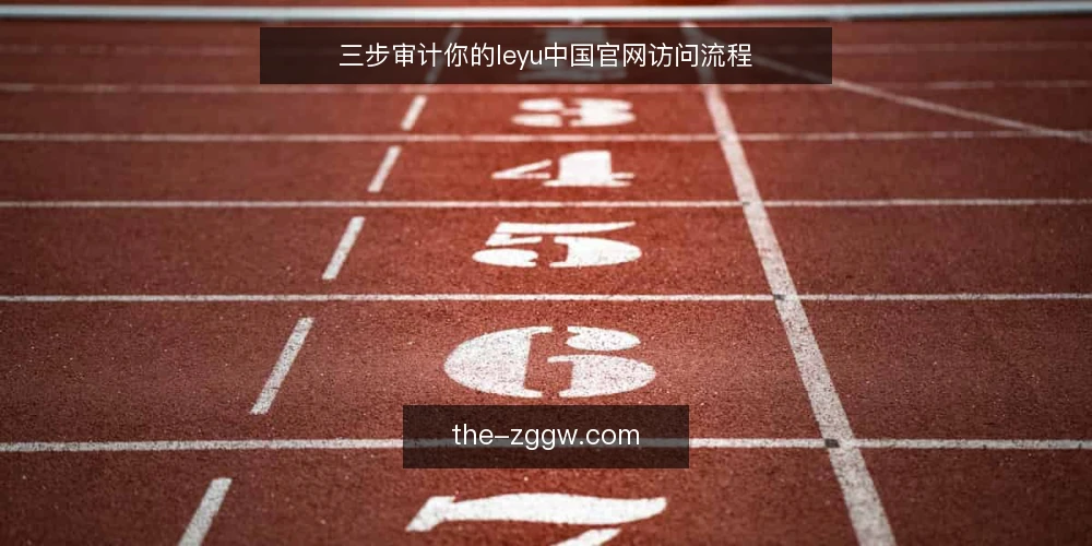 三步审计你的leyu中国官网访问流程 — 为什么现在要审计官网访问流程 配图