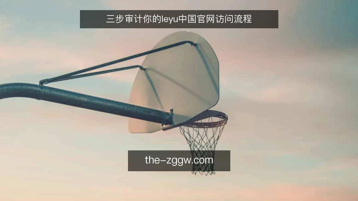 三步审计你的leyu中国官网访问流程