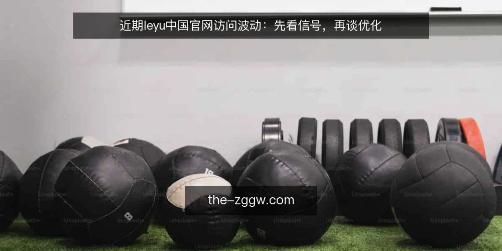 近期leyu中国官网访问波动：先看信号，再谈优化 — 信号观察：哪些变化值得留意 配图
