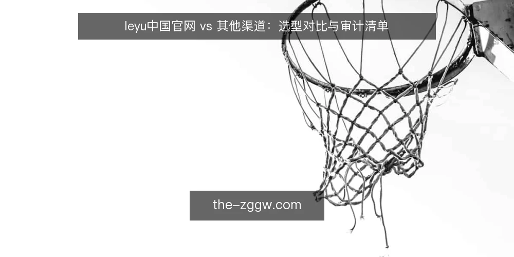 leyu中国官网 vs 其他渠道:选型对比与审计清单 — 为什么现在需要审计你的访问渠道 配图