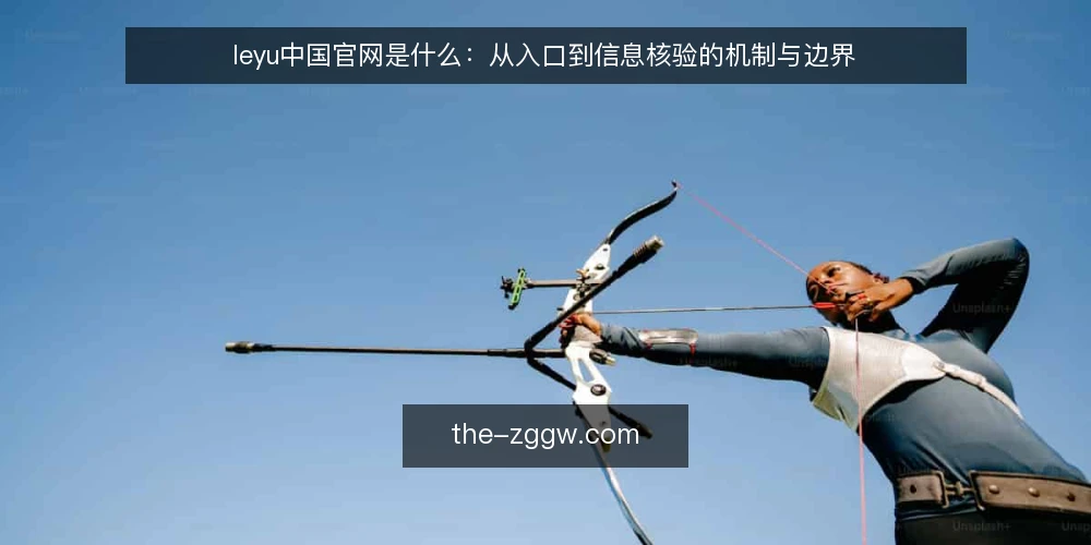 leyu中国官网是什么:从入口到信息核验的机制与边界 — 场景设定:从一次访问开始 配图