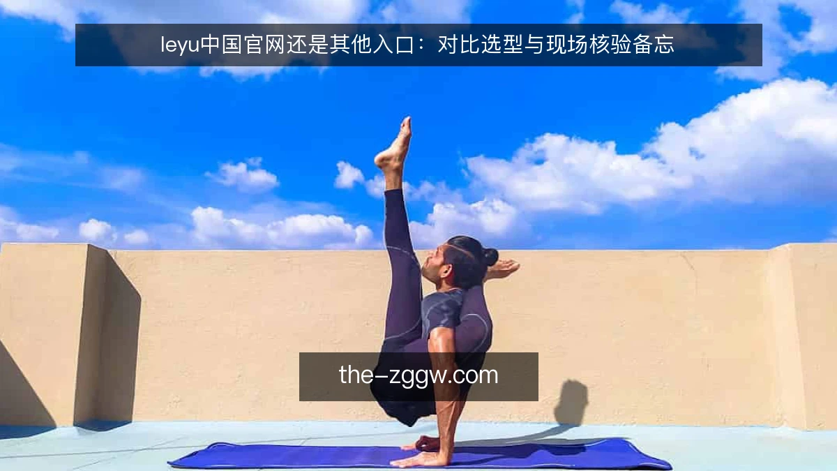 leyu中国官网还是其他入口:对比选型与现场核验备忘