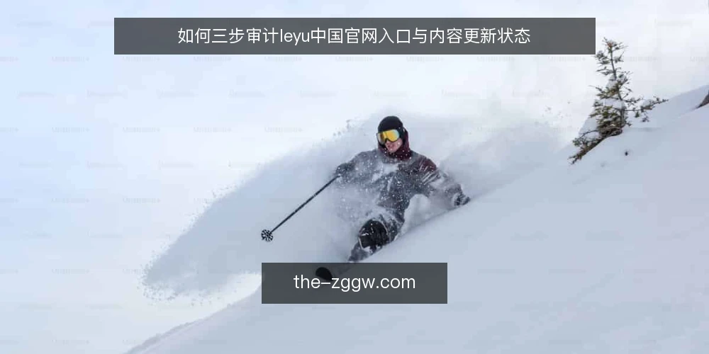 如何三步审计leyu中国官网入口与内容更新状态 — 为何现在审计leyu中国官网 配图