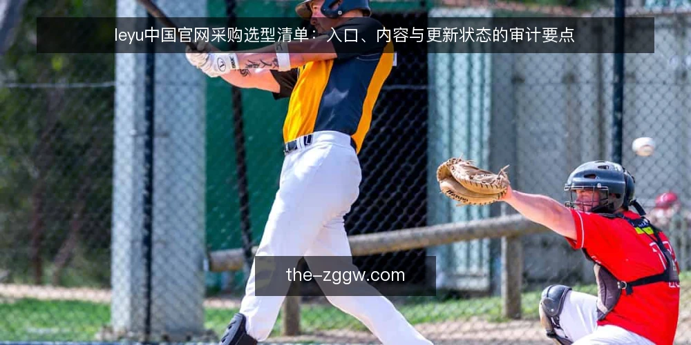 leyu中国官网采购选型清单：入口、内容与更新状态的审计要点 — 为什么现在要做这次审计 配图