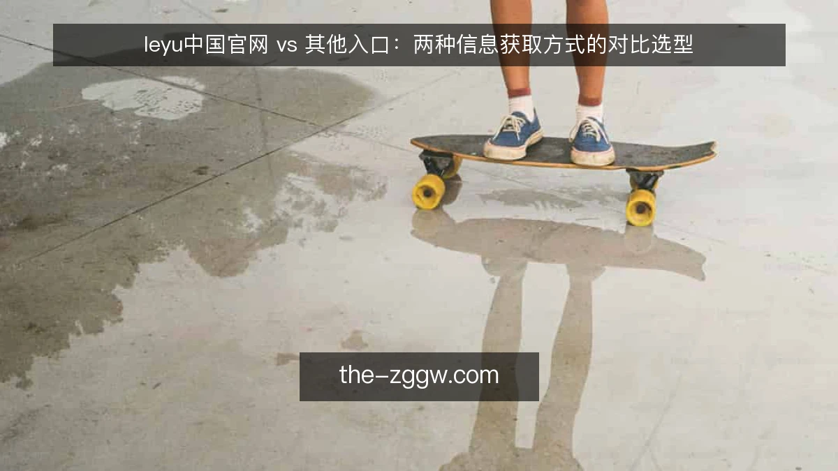 leyu中国官网 vs 其他入口：两种信息获取方式的对比选型