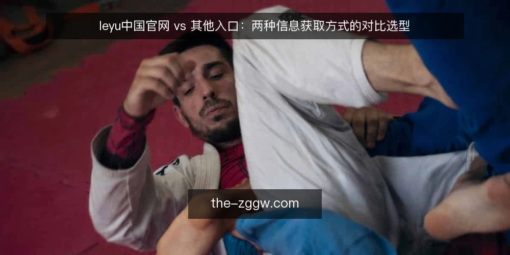 leyu中国官网 vs 其他入口：两种信息获取方式的对比选型 — 先定标准：信息获取要看哪几项 配图