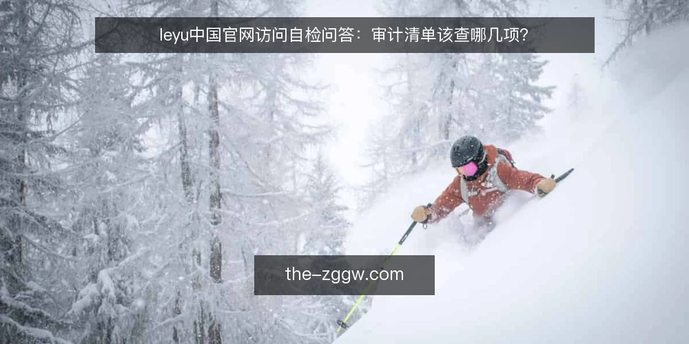 leyu中国官网访问自检问答：审计清单该查哪几项？ — 为什么现在要做一次访问审计？ 配图