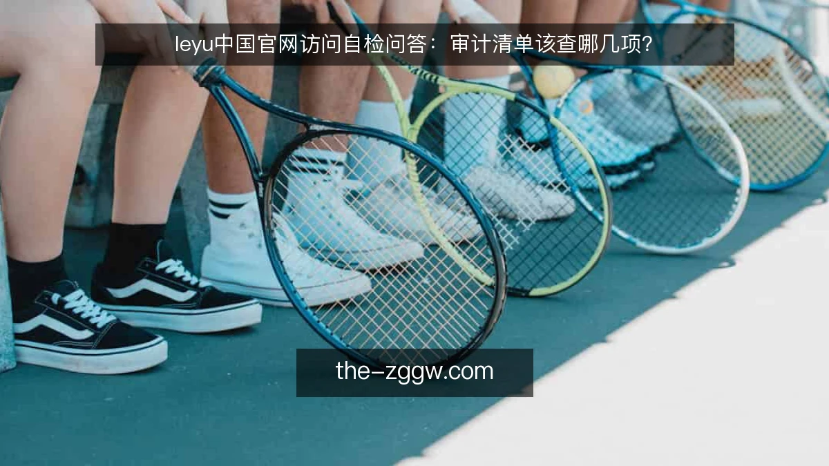 leyu中国官网访问自检问答：审计清单该查哪几项？